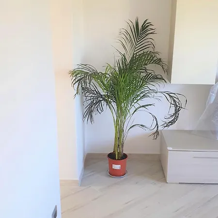 Apartment Casa Della Pineta Viareggio