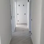 Casa Della Pineta Apartamento