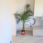 Apartamento Casa Della Pineta Viareggio